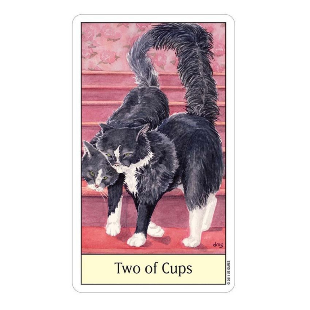 Cats Eye Tarot 12x7 cm Card Ga - Tarot Deck With Guidebook ulasan dan harga